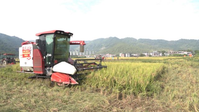 农事运动会晚稻机收减损技能大比武活动在韶关举行尊龙凯时人生就是搏平台2024年广东省第一届(图3)