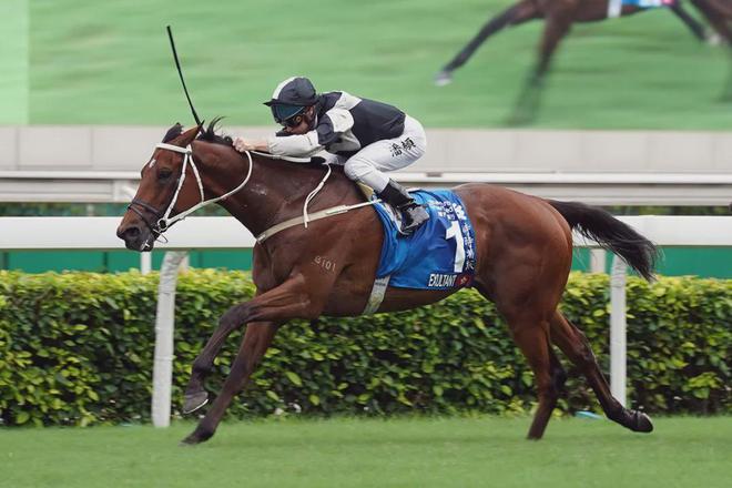 驹戴眼罩夺魁家族曾养香港马王尊龙凯时app网站王经纬赛(图2)